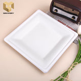10 inch compostable disposable square bagasse plate samples