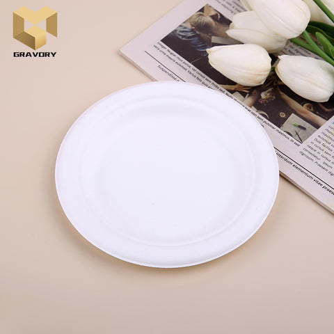 6 inch round plate for food sugarcane bagasse plate samples