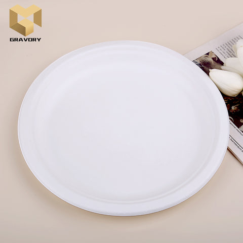 10 inch bagasse plate biodegradable round plate samples