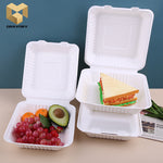 Biodegradable sugarcane lock box custom disposable fast food container samples