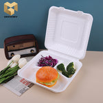 sugarcane bagasse compost disposable take out pulp food container lock bagasse