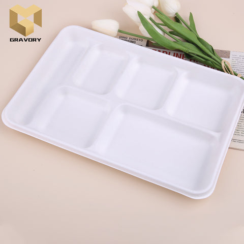 6 inch Sugarcane bagasse food container biodegradable lunch bagasse plate samples