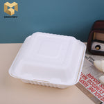 Biodegradable sugarcane lock box custom disposable fast food container samples